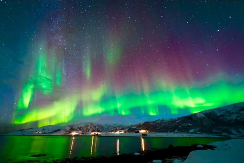 In The Heart Of The Aurora Borealis - Tromso City Exteriér fotografie