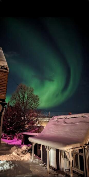 In The Heart Of The Aurora Borealis - Tromso City Exteriér fotografie